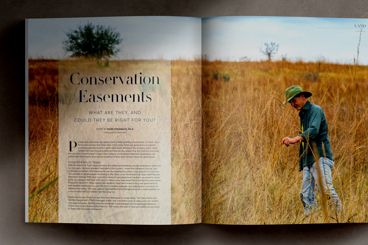 Close-up picture of an editorial I designed