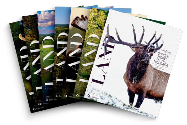 Magazine covers that 2020 editorial highlights are from