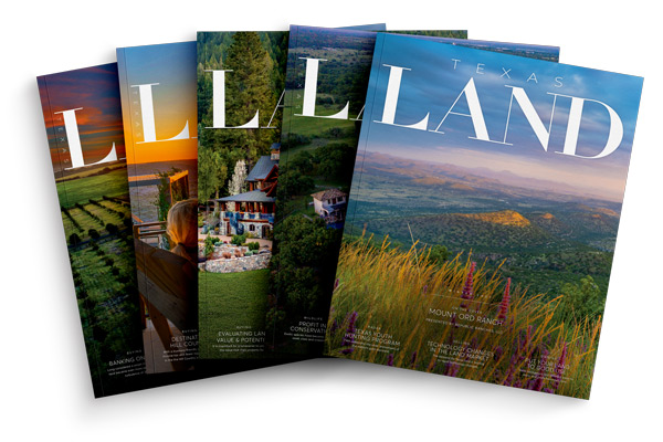 Magazine covers that 2021 editorial highlights are from